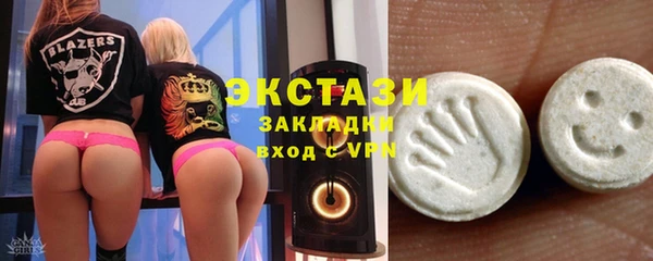 ECSTASY Инсар