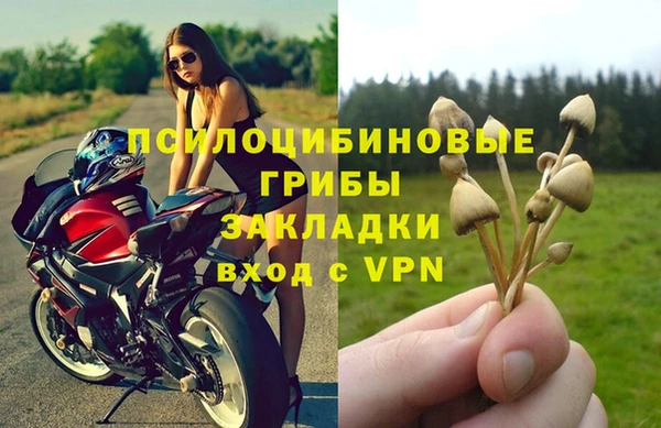 ALPHA PVP Инта