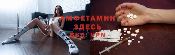 ECSTASY Инсар
