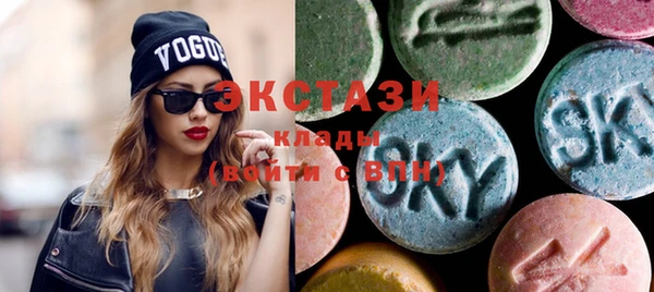 ECSTASY Инсар