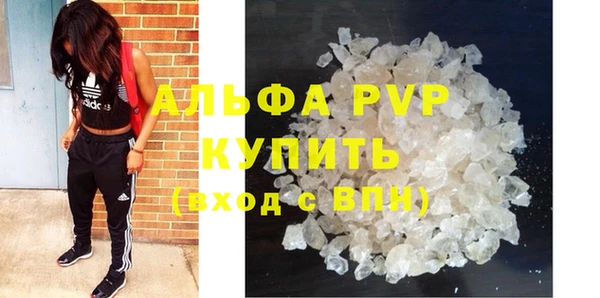 ALPHA PVP Инта