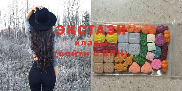 ECSTASY Инсар