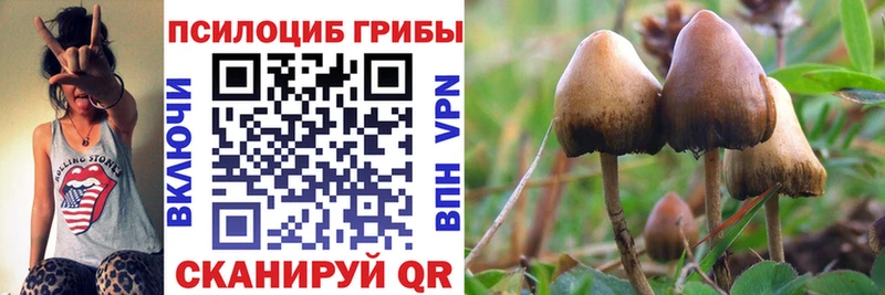 Псилоцибиновые грибы Psilocybine cubensis  omg ONION  Новошахтинск 
