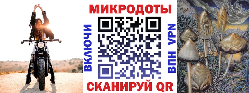 Галлюциногенные грибы мицелий Новошахтинск